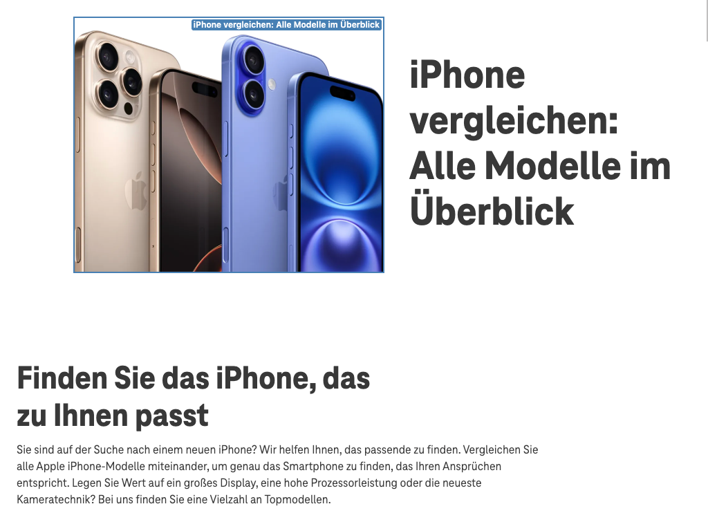 Screenshot for issue: Image text alternative does not serve equivalent purpose