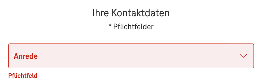 Screenshot for issue: Pflichtfelder marked &quot;*&quot; but not explanation is present