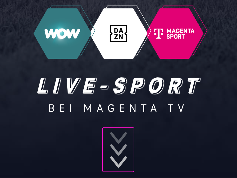 Screenshot for issue: Animated arrows cannot be paused, stopped, hidden