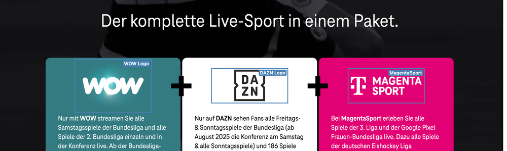 Screenshot for issue: Logo images are used as headings